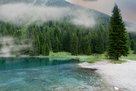 portion of lake nambino in trentinoの写真素材