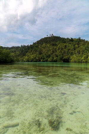 Green river trhought the dense jungle inthe frorest of Raja Ampat, West Papua province, Indonesia