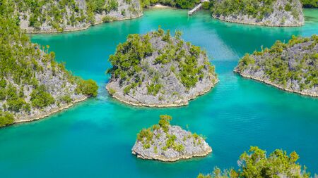 Piaynemo Lagoon, Fam Archipelago, North Raja Ampat, one of the most beautiful and pristine lagoon in...