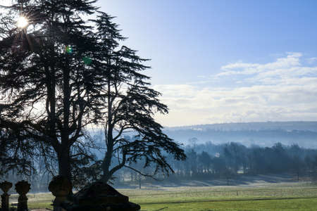 Morning sunlight on the park with a tree.の写真素材