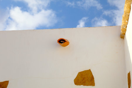 Spanish Sparrow - Passer hispaniolensis, nesting inside of a gutter made with roof tiles in a...