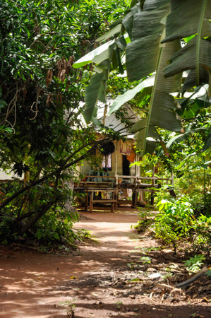 House in the jungle, Indonesiaの写真素材