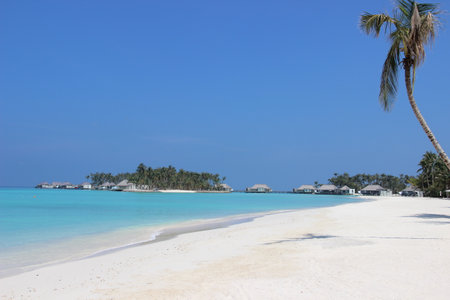 Resort in a tropical beach in Maldives with palm and shorelineの写真素材