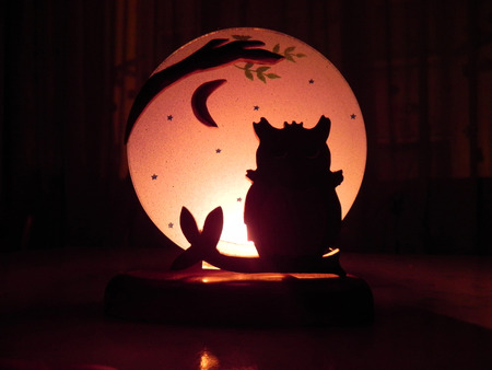 The candle with the Owlの写真素材