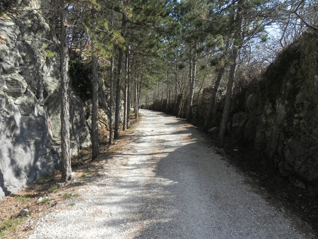 Walking along the old route of the railway in the Karst of Triesteの写真素材