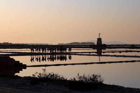 salt pans with water pumping tower and promontory in the background at sunsetの写真素材