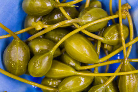 fruit of the caper flower ready for finger food served in a light blue bowl on a blue backgroundの写真素材