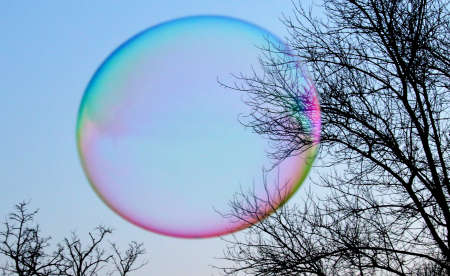 a giant bubble floating free outdoors with trees in the background in a garden in winter at sunset