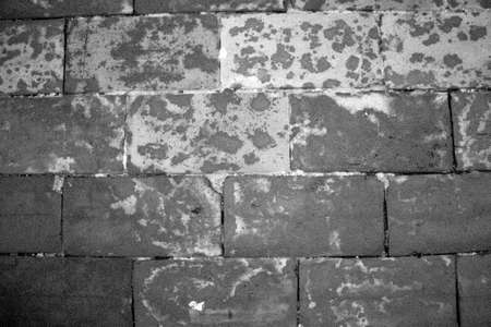 evocative black and white image of brick floor textureの写真素材