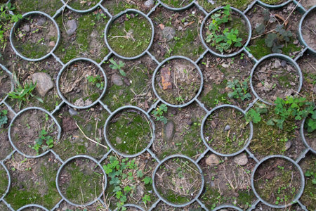 texture of interred circular shaped plastic shapesの写真素材