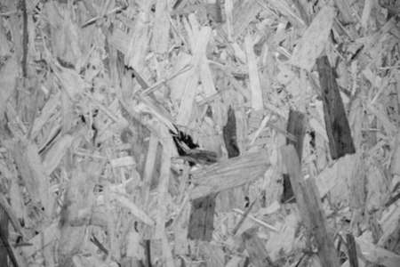 evocative black and white image of wood chipboard wall texture of various shapesの写真素材