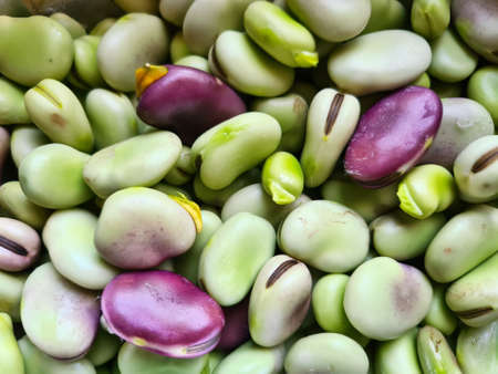 evocative close-up image of freshly shelled raw beansの写真素材