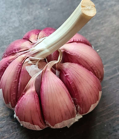 evocative close-up image of a bunch of garlic on dark wooden backgroundの写真素材