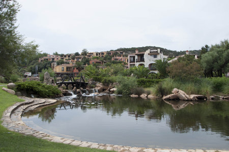 2013 Sardinia images of smooth cowのeditorial素材