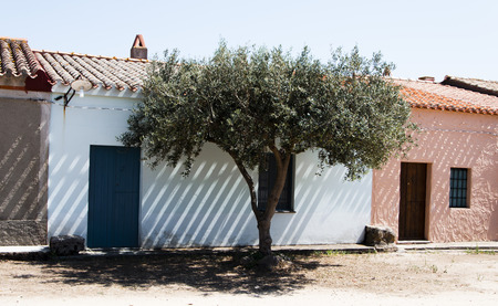 san salvatore sinis cabras old west villageの写真素材