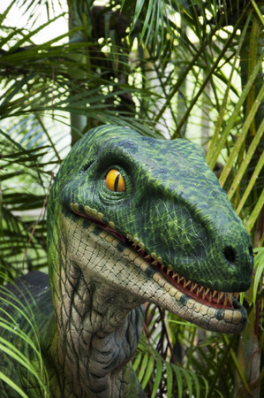 dinosaurの写真素材