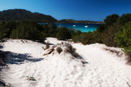italy sardinia pevero bay esmerald cost in summerの写真素材