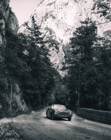 GOLA DEL FURLO, ITALY - MAY 19: CISITALIA 202 SC CABRIOLET 1952 on an old racing car in the rally...