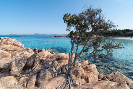 Capriccioli beach under a cloudy sky Sardiniaの写真素材