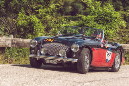 PESARO COLLE SAN BARTOLO, ITALY - MAY 17 - 2018: AUSTIN HEALEY 100 M BN2 1955 old racing car in the Mille Miglia rally 2018 the famous italian historical race (1927-1957)のeditorial素材