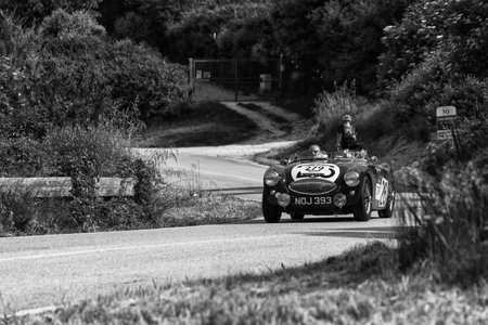 PESARO COLLE SAN BARTOLO , ITALY - MAY 17 - 2018 : AUSTIN HEALEY 100 S 1953 on an old racing car in rally Mille Miglia 2018 the famous italian historic RACEのeditorial素材