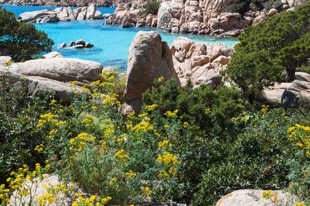 achipelago Maddalena, Caprera Island, Cala Coticcio beach. heaven on earth. Corner of paradise in the Mediterranean Sea on the archipelago of Maddalena, lovely beach with clear and blue watersの写真素材