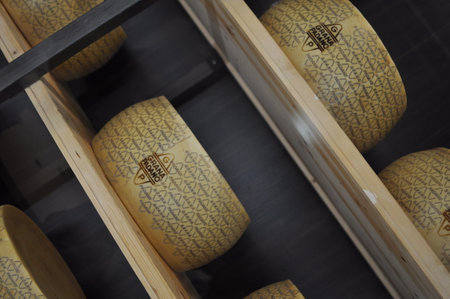 Bologna / Italy - September 24 2019: interior design Fig Eataly World. Fico is a theme park...