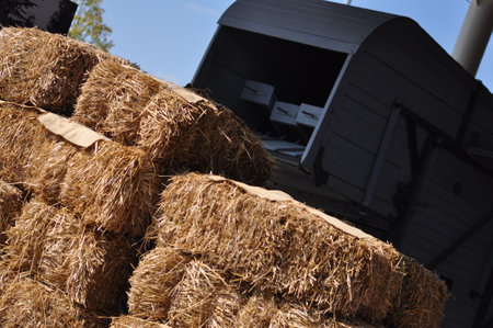 straw rolls in the agricultural machine, the tractor transports twisted sheaf hayのeditorial素材