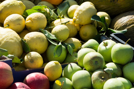 Selection of fruit at the marketのeditorial素材