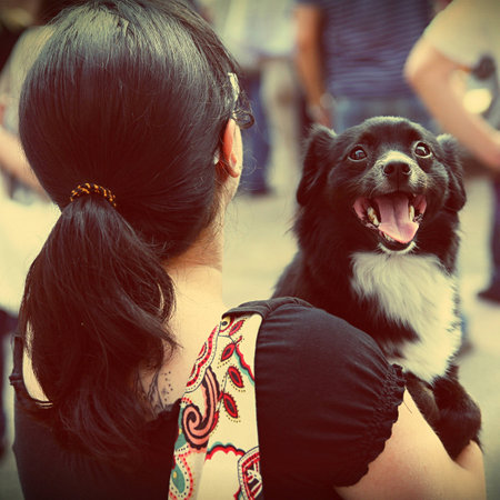 A dog smiles in the arms of her friend with a vintage effect の写真素材