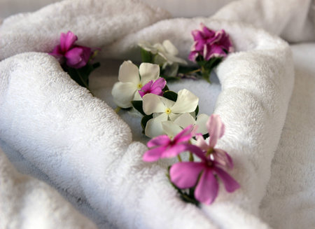 White towels rolled and decorated with yellow and purple flowersの写真素材
