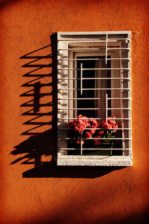 Orange wall with window, pink roses and long shadowsの写真素材