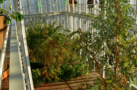 Turin, Piemonte, Italy. February 2019. The thirty-fifth floor of the Intesa Sanpaolo bank skyscraper. A hanging garden with futuristic furnishing elements welcome visitors.のeditorial素材