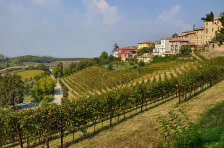 Neive, Piedmont, Italy. October 2018. From the historic center some viewpoints offer the spectacle of vineyards and countryside alternating with houses along the hills.のeditorial素材