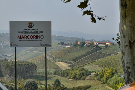Neive, Piedmont, Italy. October 2018. The landscape of the vineyards of Barbaresco with the sign of the municipality of neive with the additional name marcorino.のeditorial素材