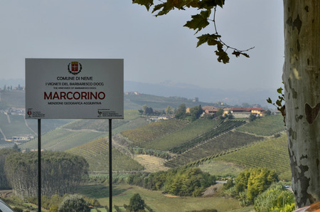 Neive, Piedmont, Italy. October 2018. The landscape of the vineyards of Barbaresco with the sign of the municipality of neive with the additional name marcorino.のeditorial素材