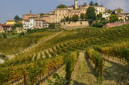 Neive, Italy. October 2018. Going up towards the village the view is enchanting: on the top of the hill the inhabited center, the clock tower stands out, at the foot the magnificent vineyards.のeditorial素材