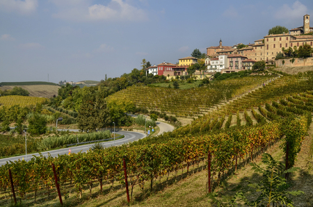 Neive, Italy. October 2018. Going up towards the village the view is enchanting: on the top of the hill the inhabited center, the clock tower stands out, at the foot the magnificent vineyards.のeditorial素材