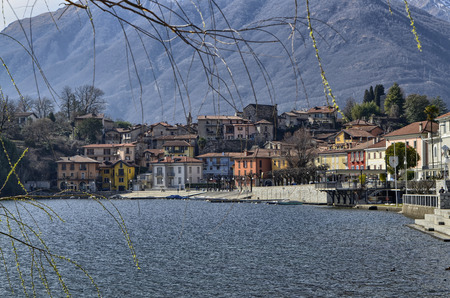 Mergozzo, Piedmont, Italy. March 2019. Pleasant panoramic view of the town overlooking the lake. The fronds of a tree frame the imageのeditorial素材