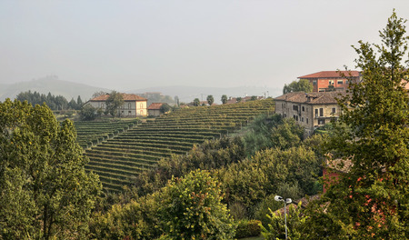Neive, Piedmont, Italy. October 2018. From the historic center some viewpoints offer the spectacle of vineyards and countryside alternating with houses along the hills.のeditorial素材