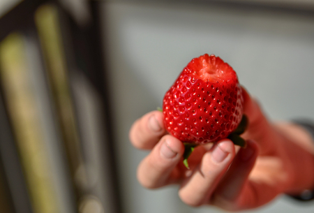 The fingers of a Caucasian boy's hand support a strawberry: it has been bitten and the glittering part with the pulp is clearly visible. Blurred background.の写真素材