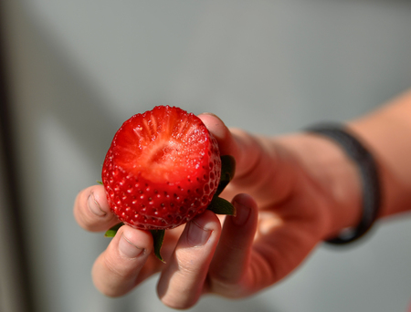 The fingers of a Caucasian boy's hand support a strawberry: it has been bitten and the glittering part with the pulp is clearly visible. Blurred background.の写真素材