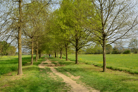 Venaria, Piedmont, Italy. April 2019. The path winds through the park between meadows and trees. People stroll and enjoy relaxing in nature.の写真素材