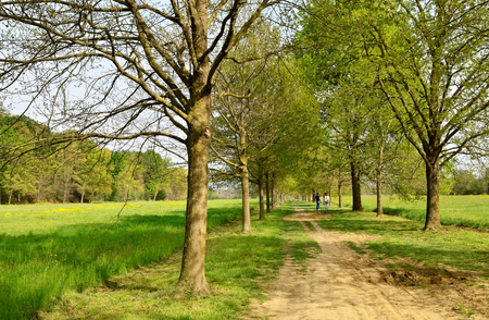 Venaria, Piedmont, Italy. April 2019. The path winds through the park between meadows and trees. People stroll and enjoy relaxing in nature.の写真素材