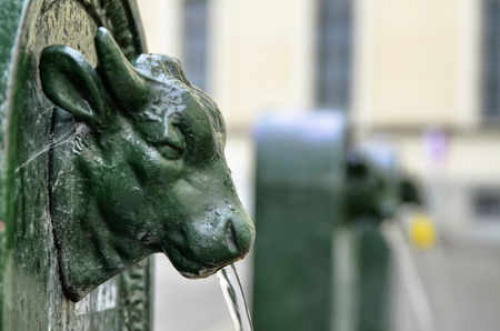 Turin, Piedmont, Italy. May 2019. A look at Piazza Gian Lorenzo Bernini. A triptych of drinking water fountains, the first shows the clear bull's head and the others blurred in the background.のeditorial素材