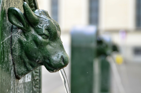 Turin, Piedmont, Italy. May 2019. A look at Piazza Gian Lorenzo Bernini. A triptych of drinking water fountains, the first shows the clear bull's head and the others blurred in the background.のeditorial素材