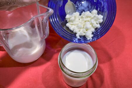Preparation of milk kefir. Kefir granules are poured into the glass jar and mixed with milk.の写真素材