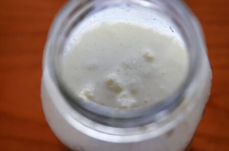 Close-up shot of a glass jar filled with fermenting kefir: the yellowish-white polysaccharisic grains can be seen on the surface of the milk.の写真素材