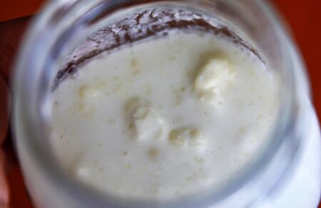 Close-up shot of a glass jar filled with fermenting kefir: the yellowish-white polysaccharisic grains can be seen on the surface of the milk.の写真素材