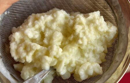 Close-up image of Kefir granules as they are separated from fermented milk.の写真素材